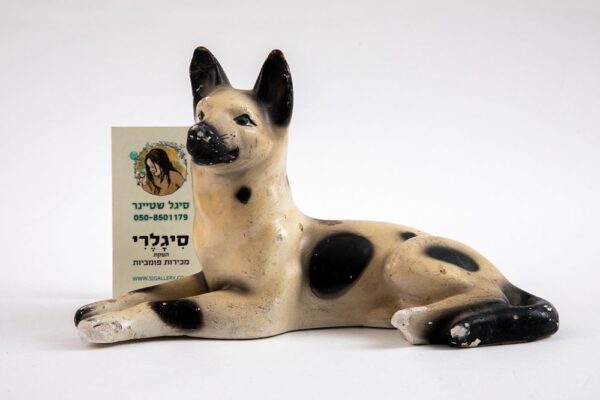 כלב רובץ